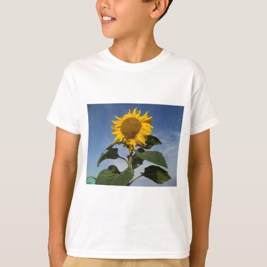 T-shirt Tournesol contre le ciel bleu (Devant)
