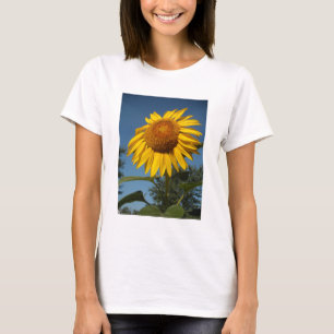 T-shirt Tournesol du matin