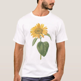 T-shirt tournesol sur le blanc