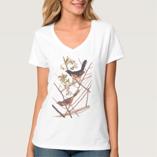 T-shirt Towee Bunting Audubon Black and Orange Song Birds (Devant)