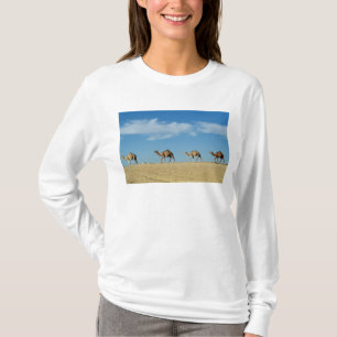 T-shirt Train de chameau