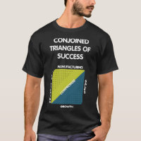Triangles de réussite - Silicon Valley Es