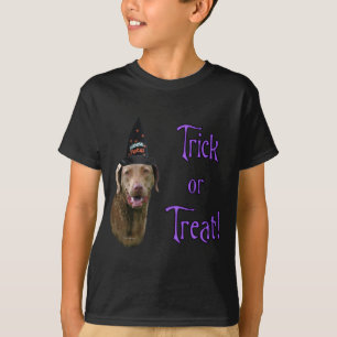 T-shirt Tricoter d'extraction de la baie Chesapeake