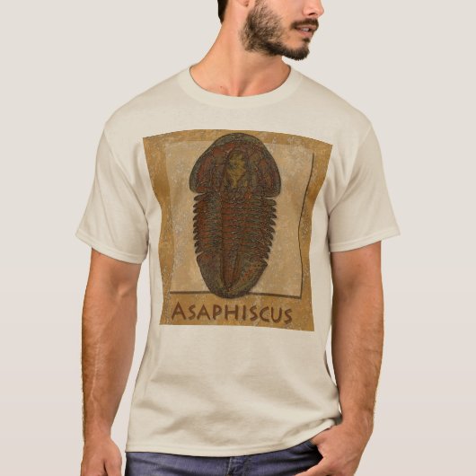 T-shirt Trilobite fossile Asaphiscus (Devant)
