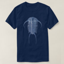 Trilobite Paraceraurus bleu fantomatique