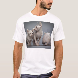T-shirt Trois chats chauves
