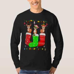 T-shirt Trois chiens Chihuahua en chaussettes de Noël asso