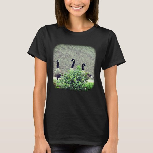 T-shirt Trois espèces d'oies du Canada (Devant)