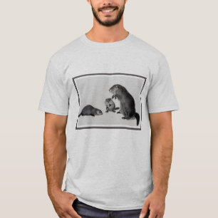 T-shirt Trois marmottes d'Amérique