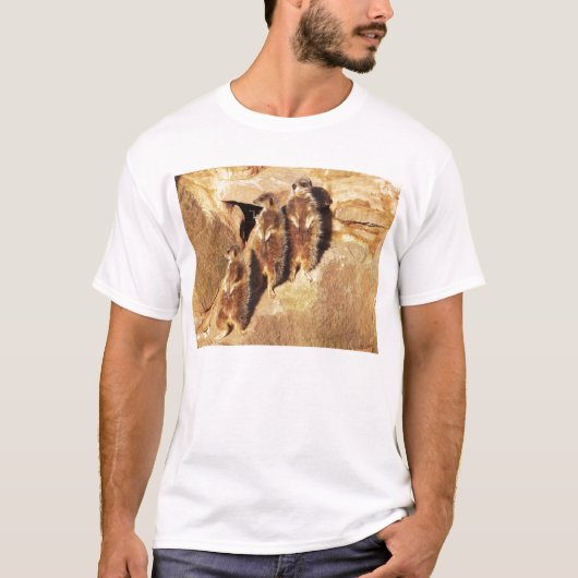 T-shirt Trois méerkats (Devant)