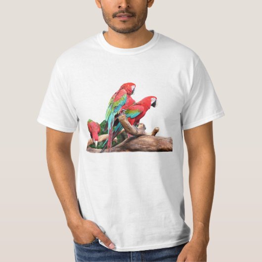 T-shirt trois perroquets colorés (Devant)