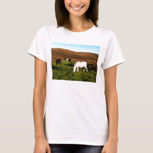 T-shirt Trois poneys sur Dartmoor