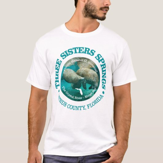 T-shirt Trois sources sismiques (rd) (Devant)