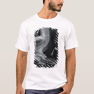 T-shirt Tronc d'arbre mort