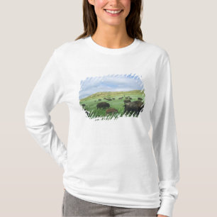 T-shirt Troupeau de bisons broutant l'herbe de la prairie 