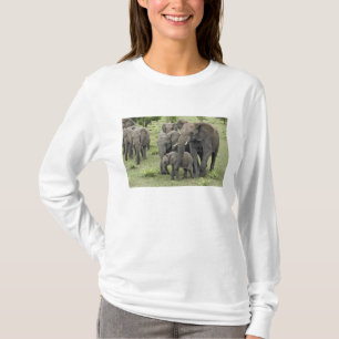 T-shirt Troupeau d'éléphants d'Afrique, Loxodonta africana