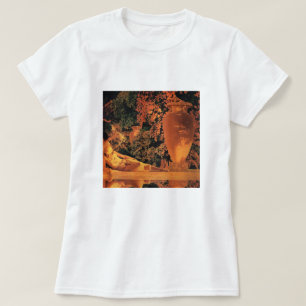 T-shirt: Tuin van Allah- Maxfield Parrish T-shirt