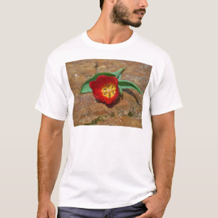 T-shirt Tulipe rouge du printemps