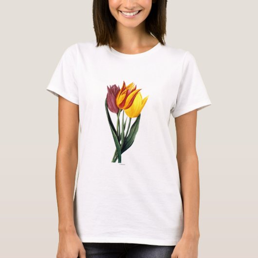 T-shirt Tulipe (Tulipa Gesneriana) (Devant)