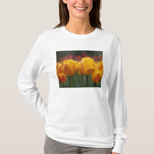 T-shirt Tulipes 2 (Devant)