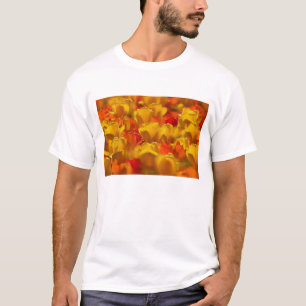 T-shirt Tulipes dans les jardins de Keukenhof, Amsterdam, 