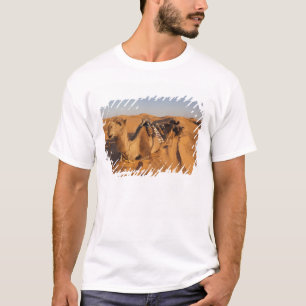 T-shirt Tunisie, région des Ksour, Ksar Ghilane, Grand Erg