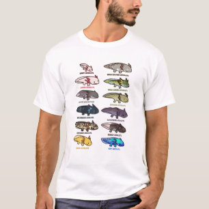 T-shirt Types De Couleurs Axolotl Et Morphs Garçons Fille
