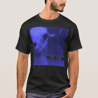 'Um chemise 1995 bleue détruite de tour du monde