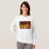 T-shirt Umbrella Thorn Acacia, Acacia tortilis, (Devant entier)