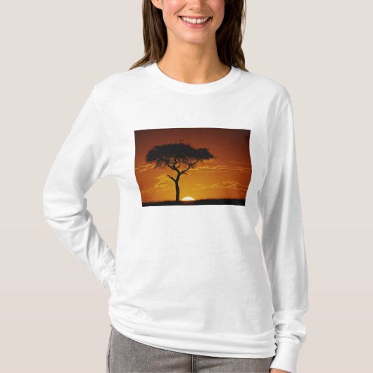 T-shirt Umbrella Thorn Acacia, Acacia tortilis, (Devant)