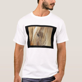 T-shirt Un ami pour jamais