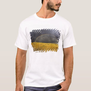 T-shirt Un arc-en-ciel apparaissant à travers un après-mid
