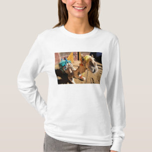 T-shirt Un chameau amical attend son prochain cavalier, Le