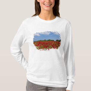 T-shirt Un champ complètement des fleurs rouges