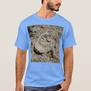 T-shirt Un coquillage et des fossiles de foraminifera en g
