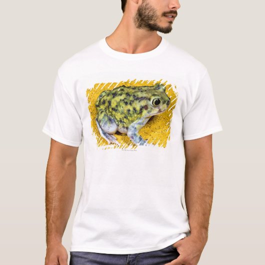 T-shirt Un crapaud de spadefoot (Devant)