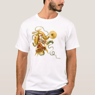 T-shirt Un hydrozoaire - uvaria de Salacella