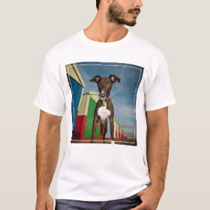 T-shirt Un Lurcher Devant Quelques Cabanes De Plage