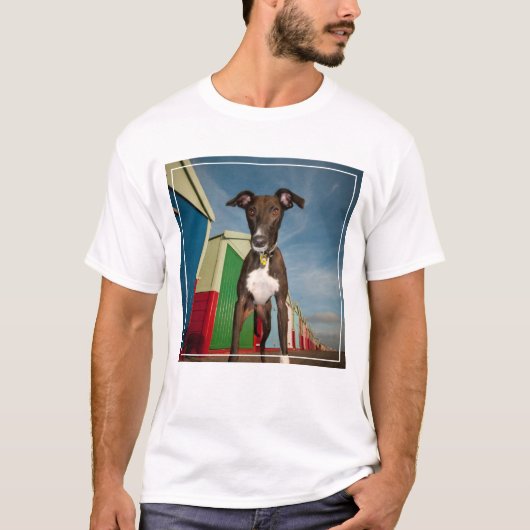 T-shirt Un Lurcher Devant Quelques Cabanes De Plage (Devant)