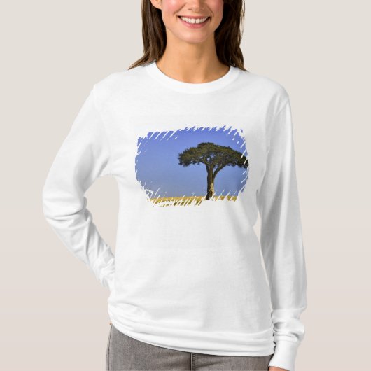 T-shirt Un seul acacia dans les plaines herbeuses, Masai M (Devant)