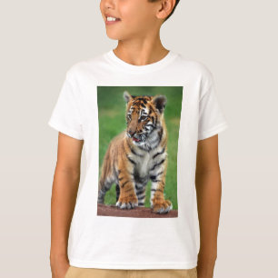 T-shirt Un tigre de bébé mignon