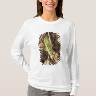 T-shirt Une cosse de pois sur une usine sèche de cosse de