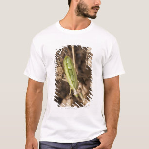 T-shirt Une cosse de pois sur une usine sèche de cosse de