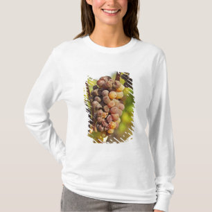 T-shirt Une grappe de raisin Semillon moisie à Ch Raymond
