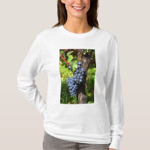 T-shirt Une grappe de raisins merlot mûrs sur une vigne av