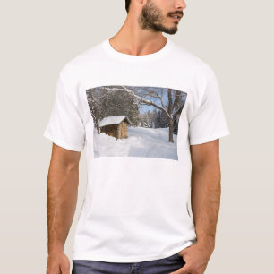 T-shirt Une scène enneigée à l'étang Little Lyford de l'AM