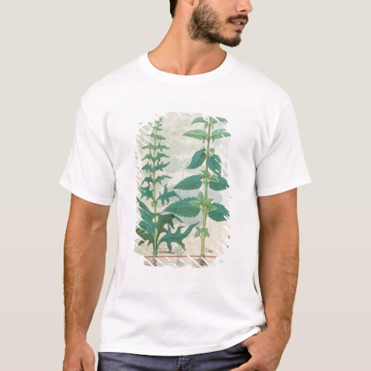 T-shirt Urticaceae (Devant)
