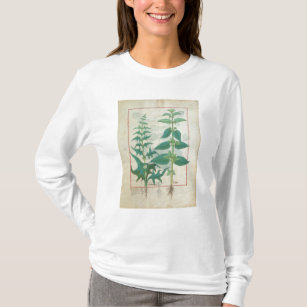 T-shirt Urticaceae