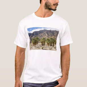 T-shirt USA, Californie, Anza-Borrego Desert State Park.