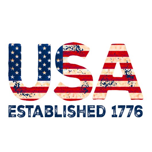 T-shirt USA fondée 1776